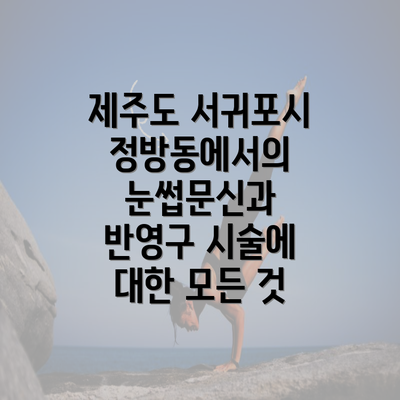 제주도 서귀포시 정방동에서의 눈썹문신과 반영구 시술에 대한 모든 것