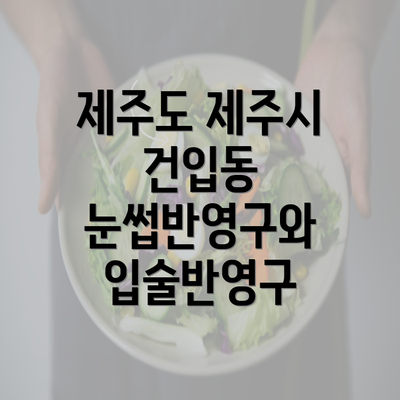 제주도 제주시 건입동 눈썹반영구와 입술반영구