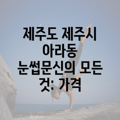 제주도 제주시 아라동 눈썹문신의 모든 것: 가격