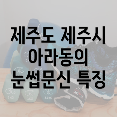 제주도 제주시 아라동의 눈썹문신 특징