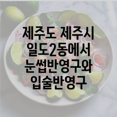 제주도 제주시 일도2동에서 눈썹반영구와 입술반영구