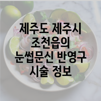 제주도 제주시 조천읍의 눈썹문신 반영구 시술 정보