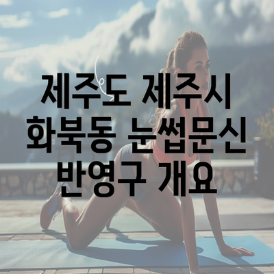 제주도 제주시 화북동 눈썹문신 반영구 개요