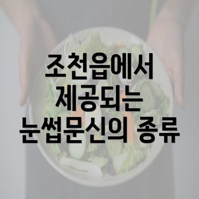 조천읍에서 제공되는 눈썹문신의 종류