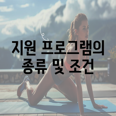 지원 프로그램의 종류 및 조건