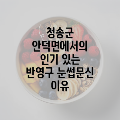 청송군 안덕면에서의 인기 있는 반영구 눈썹문신 이유