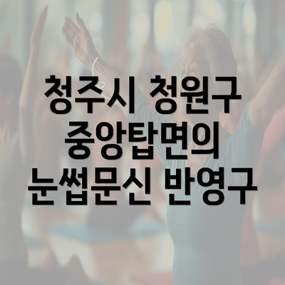 청주시 청원구 중앙탑면의 눈썹문신 반영구