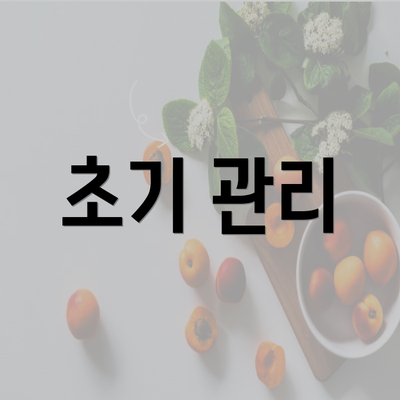 초기 관리