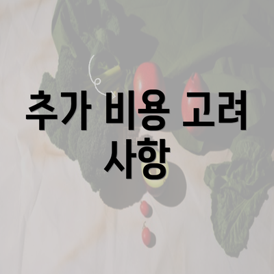 추가 비용 고려 사항