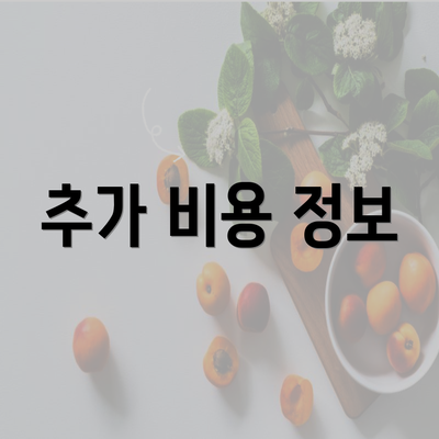 추가 비용 정보