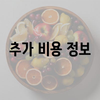 추가 비용 정보