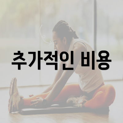 추가적인 비용