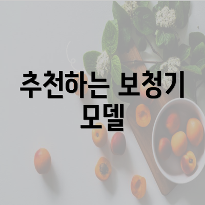 추천하는 보청기 모델