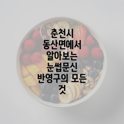 춘천시 동산면에서 알아보는 눈썹문신 반영구의 모든 것