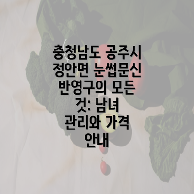 충청남도 공주시 정안면 눈썹문신 반영구의 모든 것: 남녀 관리와 가격 안내