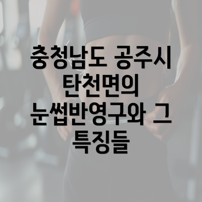 충청남도 공주시 탄천면의 눈썹반영구와 그 특징들