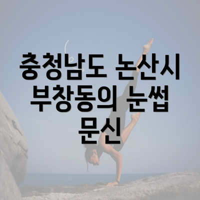 충청남도 논산시 부창동의 눈썹 문신