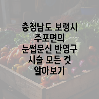 충청남도 보령시 주포면의 눈썹문신 반영구 시술 모든 것 알아보기