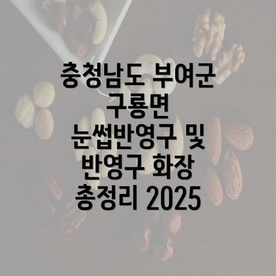 충청남도 부여군 구룡면 눈썹반영구 및 반영구 화장 총정리 2025