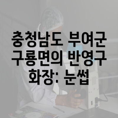 충청남도 부여군 구룡면의 반영구 화장: 눈썹