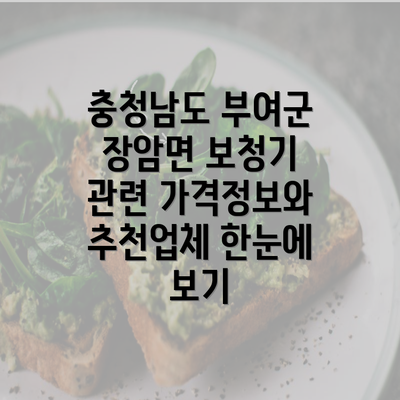 충청남도 부여군 장암면 보청기 관련 가격정보와 추천업체 한눈에 보기