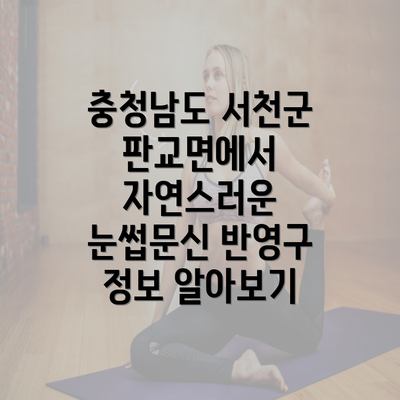 충청남도 서천군 판교면에서 자연스러운 눈썹문신 반영구 정보 알아보기