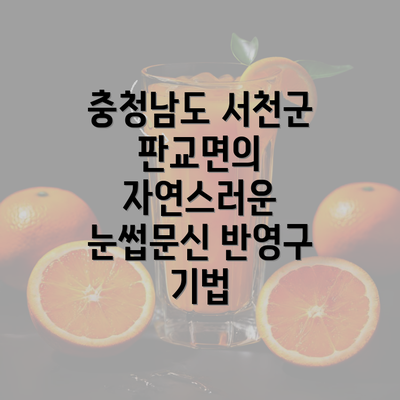 충청남도 서천군 판교면의 자연스러운 눈썹문신 반영구 기법