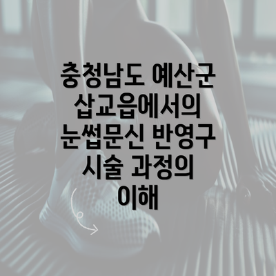 충청남도 예산군 삽교읍에서의 눈썹문신 반영구 시술 과정의 이해