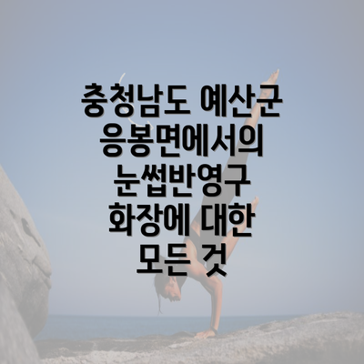 충청남도 예산군 응봉면에서의 눈썹반영구 화장에 대한 모든 것