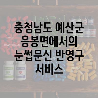 충청남도 예산군 응봉면에서의 눈썹문신 반영구 서비스