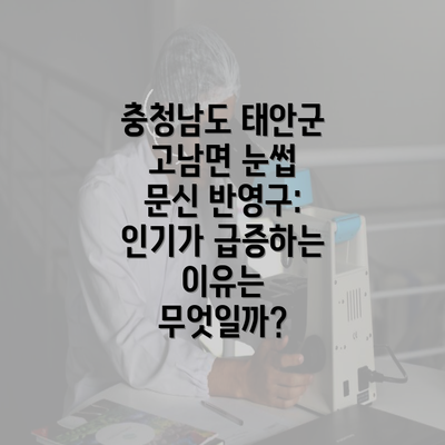 충청남도 태안군 고남면 눈썹 문신 반영구: 인기가 급증하는 이유는 무엇일까?