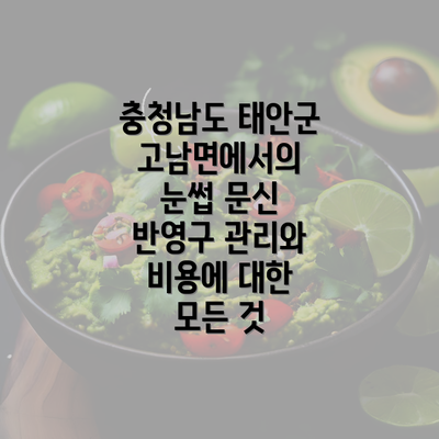 충청남도 태안군 고남면에서의 눈썹 문신 반영구 관리와 비용에 대한 모든 것