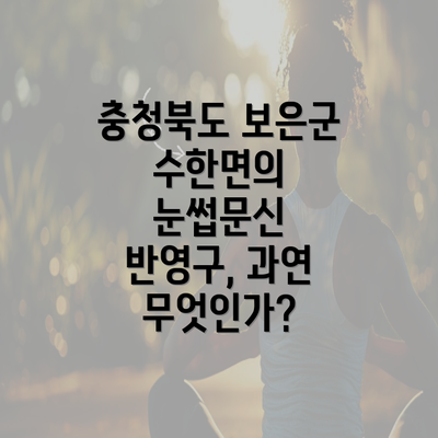 충청북도 보은군 수한면의 눈썹문신 반영구, 과연 무엇인가?