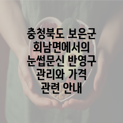 충청북도 보은군 회남면에서의 눈썹문신 반영구 관리와 가격 관련 안내