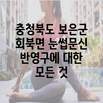 충청북도 보은군 회북면 눈썹문신 반영구에 대한 모든 것