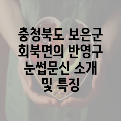 충청북도 보은군 회북면의 반영구 눈썹문신 소개 및 특징