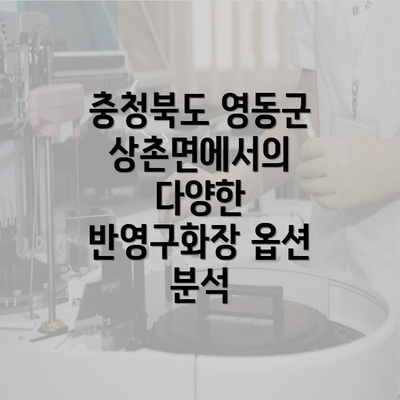 충청북도 영동군 상촌면에서의 다양한 반영구화장 옵션 분석