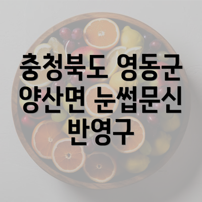 충청북도 영동군 양산면 눈썹문신 반영구