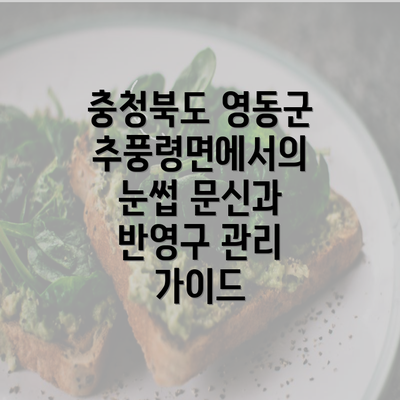 충청북도 영동군 추풍령면에서의 눈썹 문신과 반영구 관리 가이드