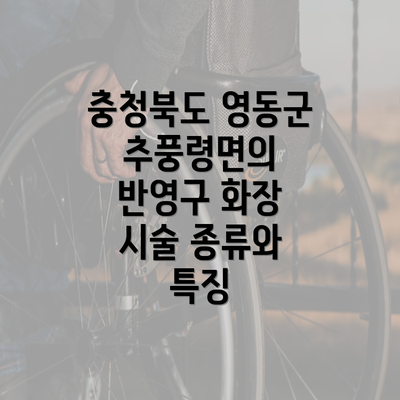 충청북도 영동군 추풍령면의 반영구 화장 시술 종류와 특징