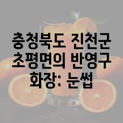 충청북도 진천군 초평면의 반영구 화장: 눈썹