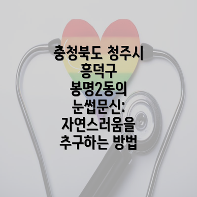 충청북도 청주시 흥덕구 봉명2동에서 자연스러운 눈썹문신을 이용한 아름다움 관리 방법