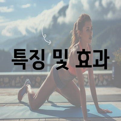 특징 및 효과