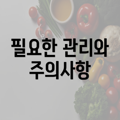 필요한 관리와 주의사항