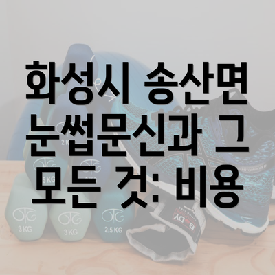 화성시 송산면 눈썹문신과 그 모든 것: 비용