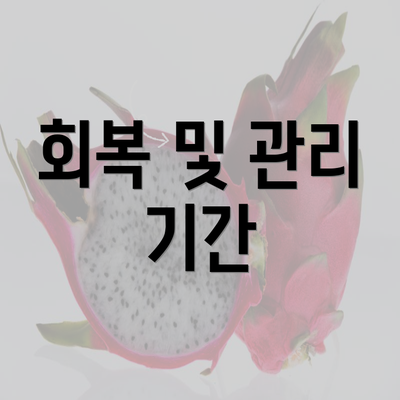 회복 및 관리 기간