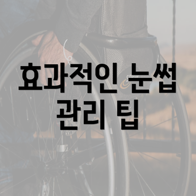 효과적인 눈썹 관리 팁