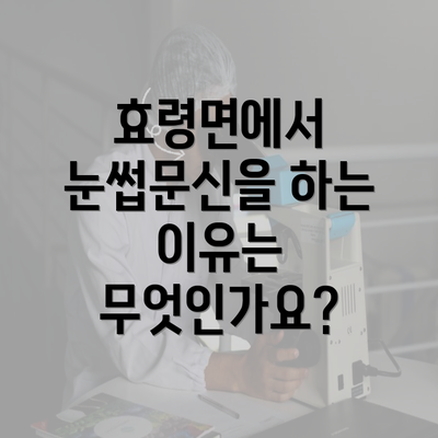 효령면에서 눈썹문신을 하는 이유는 무엇인가요?