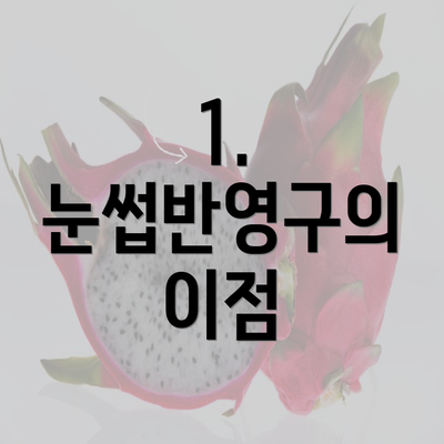 1. 눈썹반영구의 이점