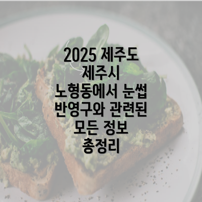 2025 제주도 제주시 노형동에서 눈썹 반영구와 관련된 모든 정보 총정리